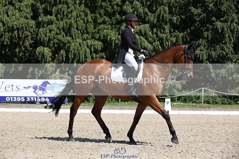 230526-150104-06603 - 377-GOLD_NUGGET-Jillian_Giessen-WEDTrotUp+DR