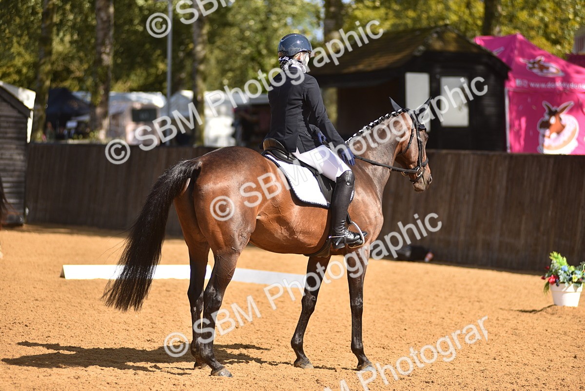 SBM_19968 - D4 - Small Tour Championship Intro 4