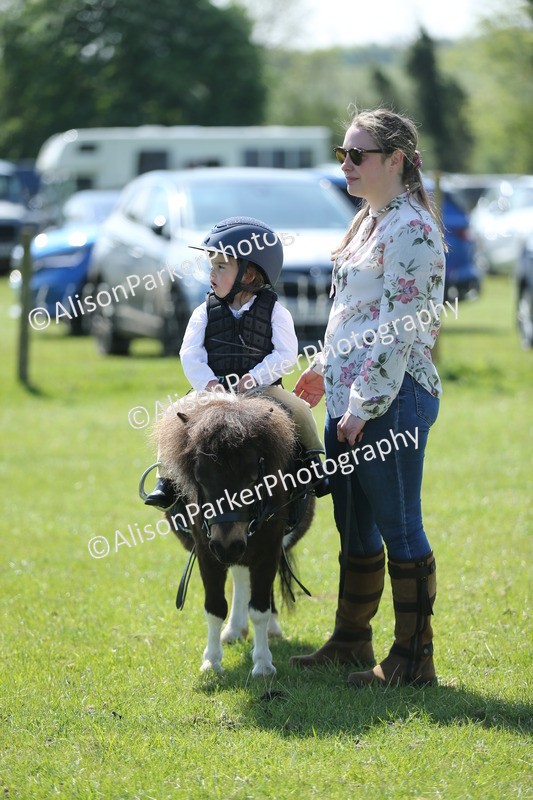 20250427-2729 - Class 6 - Pony Judge Would Most Like To Take Home
