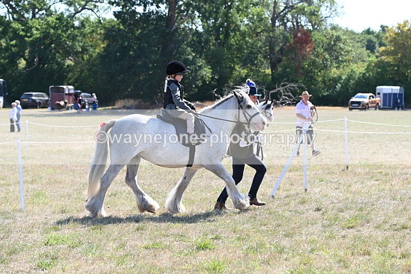 WJ6_7821 - Class 36 Lead Rein