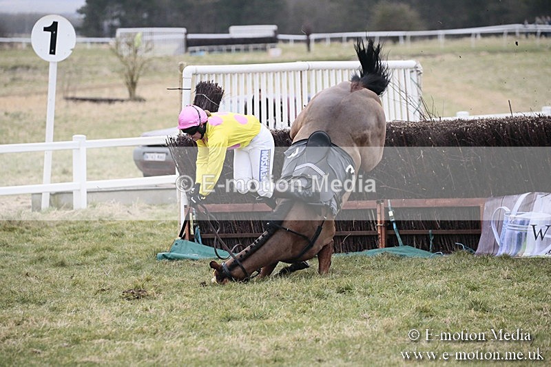 PtP 180218 278 - Combined Services Point-to-Point Larkhill 18/02/18