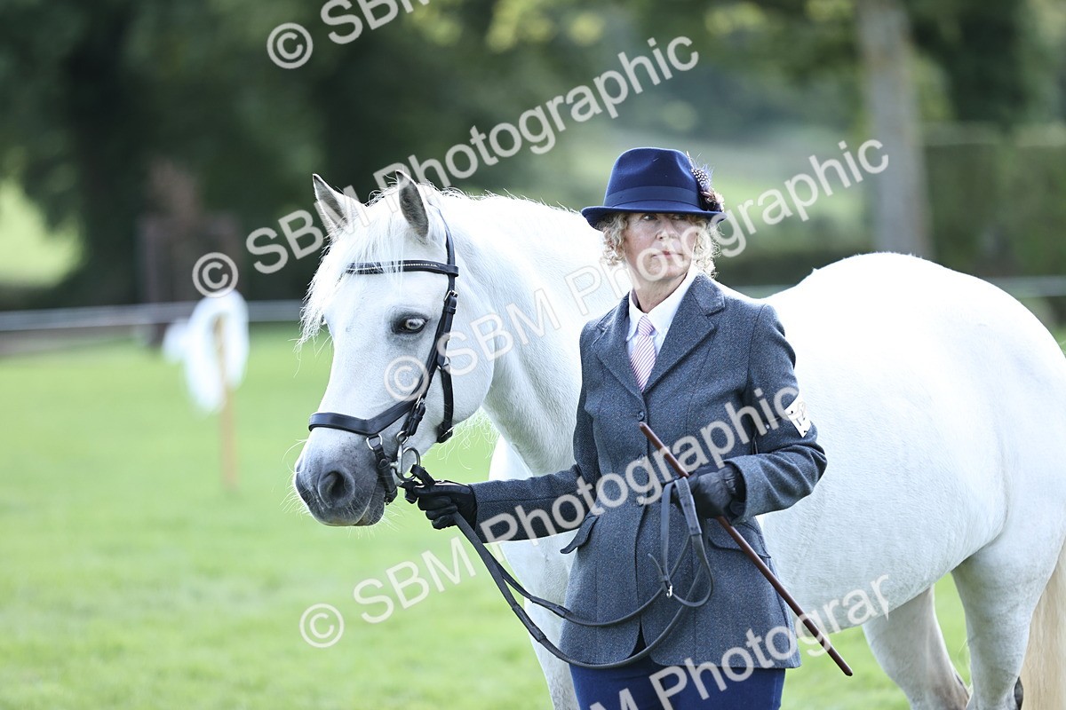SBM_26246 - S5 - Novice & Newcomers In Hand