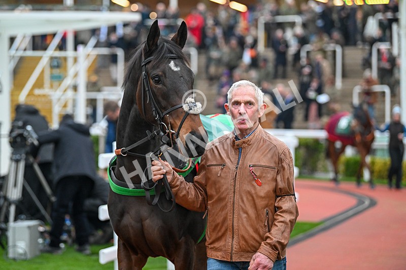 151124-Race 6-Paddock-Callin Baton Rouge-8652 - Race 6