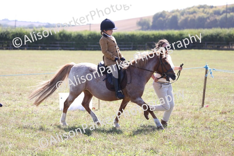 20260906-2275 - Class 16 - Family Pony