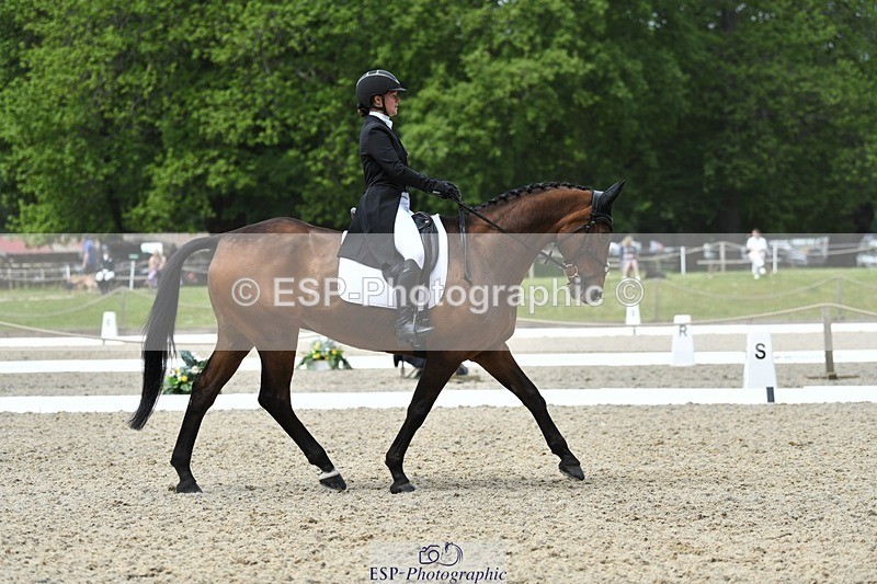 230525-114355-01888 - 103-CLOUDED_LEOPARD-Jessica_Coombes-WEDTrotUp+DR