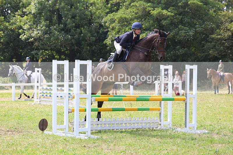 3E7A2967 - Class 7: Senior British Novice/90cm open