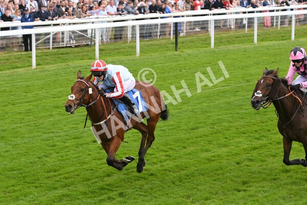 yr11062022r2-68 - Race 2 2.00pm Queen Mother's Cup