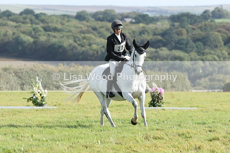 JPP_8093 - Class 2A: Trekenning Open: Dressage