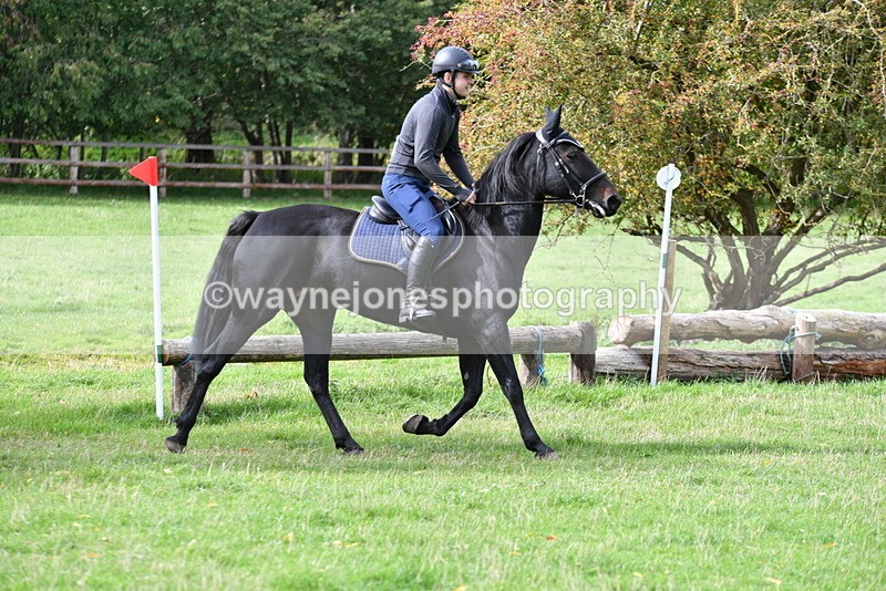 WJ5_9311 - Time 13:03 to 13:25