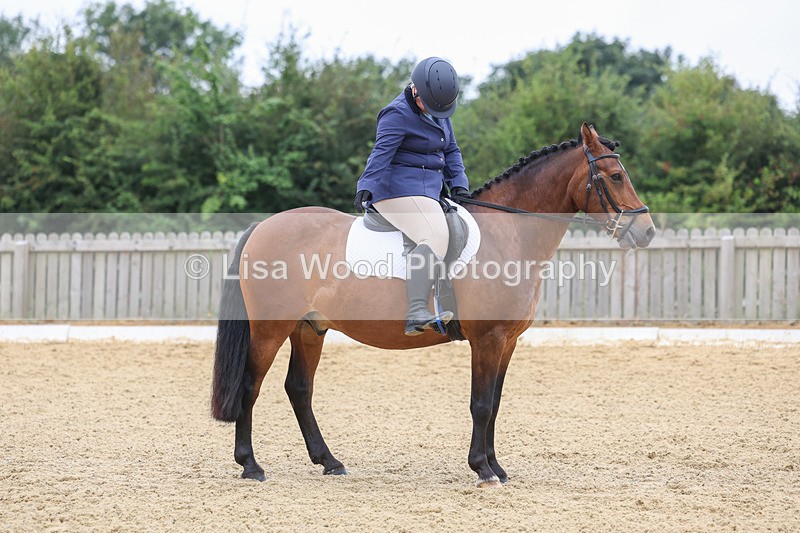 3E7A5170 - Class 2: Intro 4 2024 section B