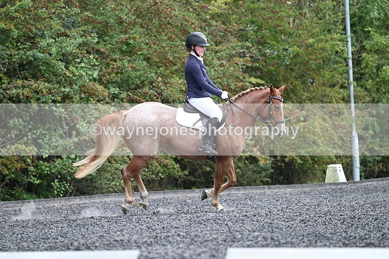 WJ7_3748 - Time 11:04 to 11:38