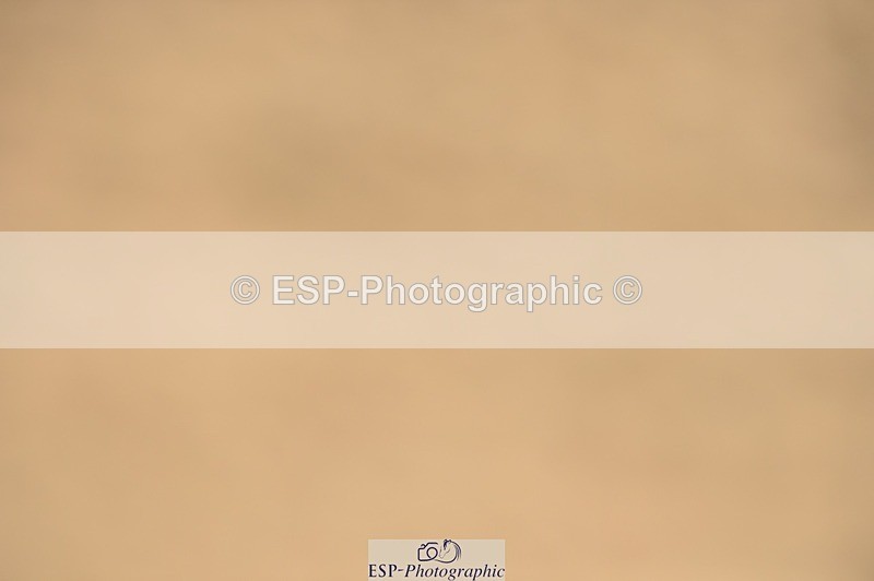 250622-105058-14181 - Quest Cls 25-30 Prelim Tests