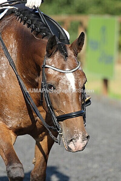 SIAL1549 - Saturday 16th 230pm till finish