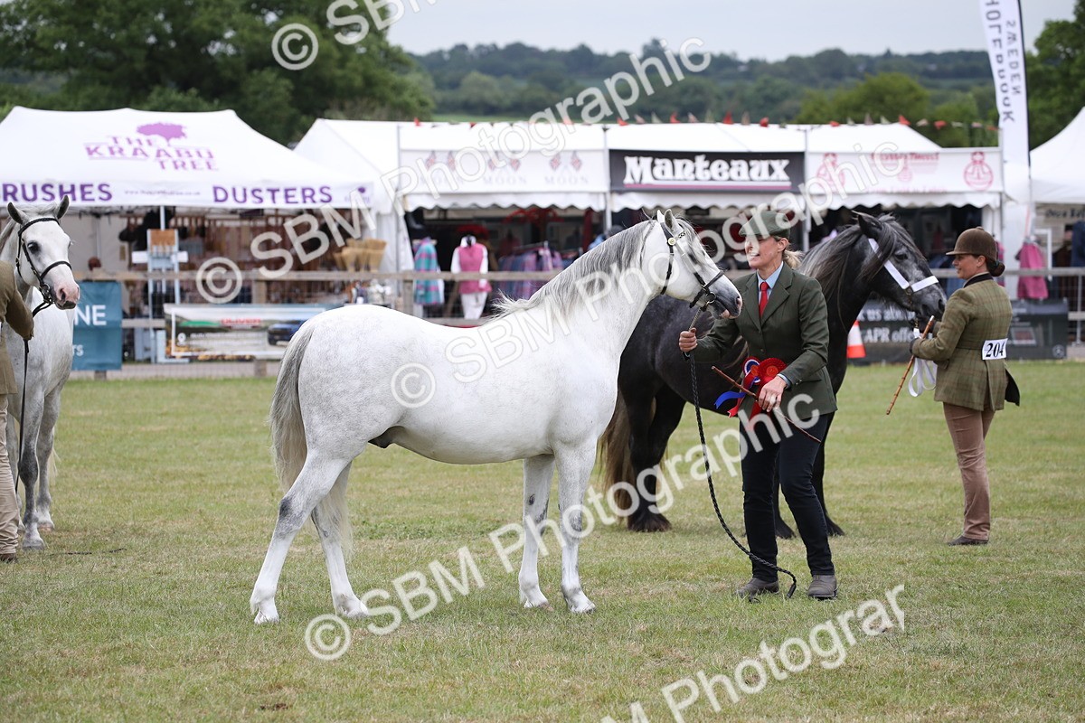 SBM_09873 - Ch 50 - Price Family Supreme In Hand