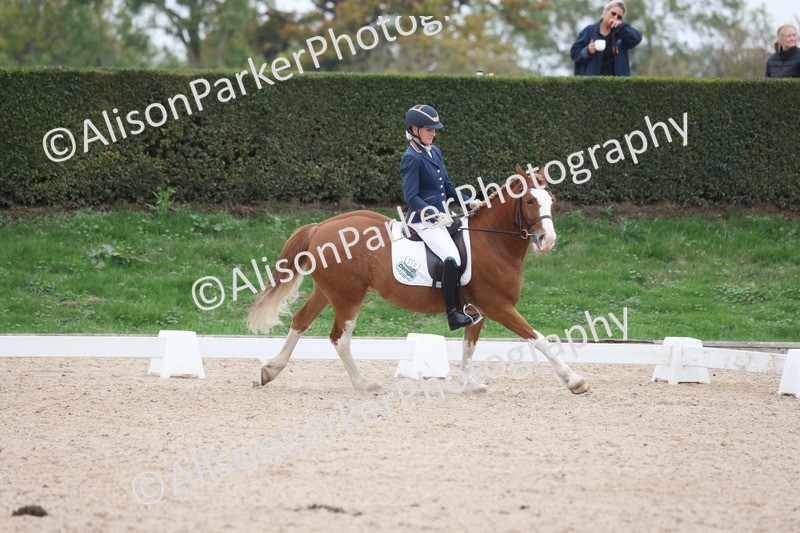 20251011-0366 - Class 3 - Prelim 2