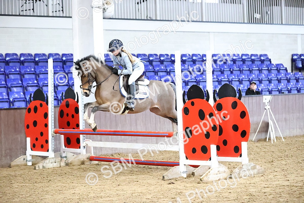 SBM_001336 - Class 9 - Pony British Novice 80cm