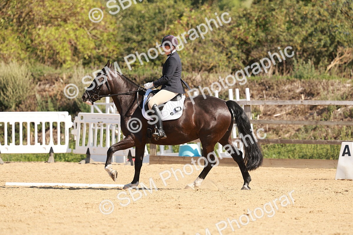 SBM_010411 - Class 3 - Prelim 2