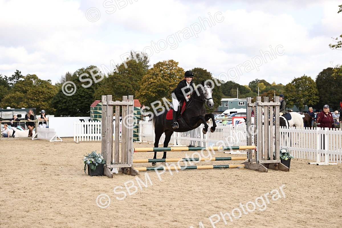SBM_63768 - J12 - Junior Pony 55cm Championship