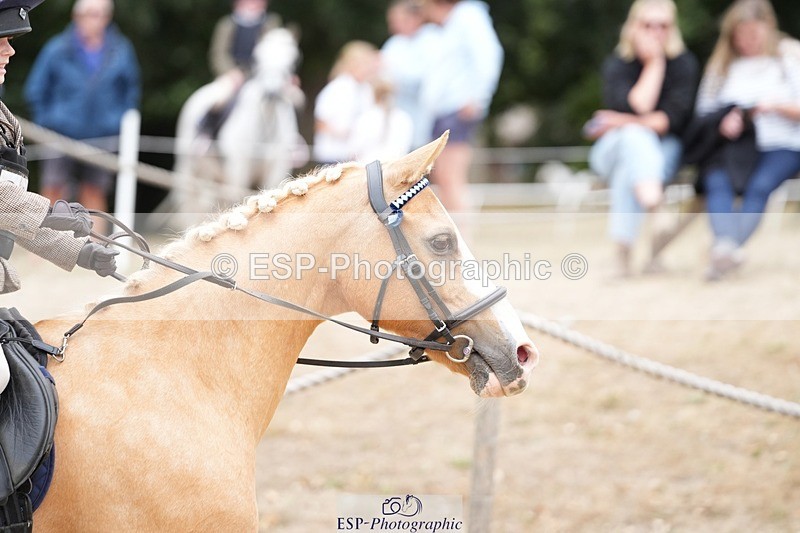 250820A-132036-06013 - Round 2, Start to 13.45 Break