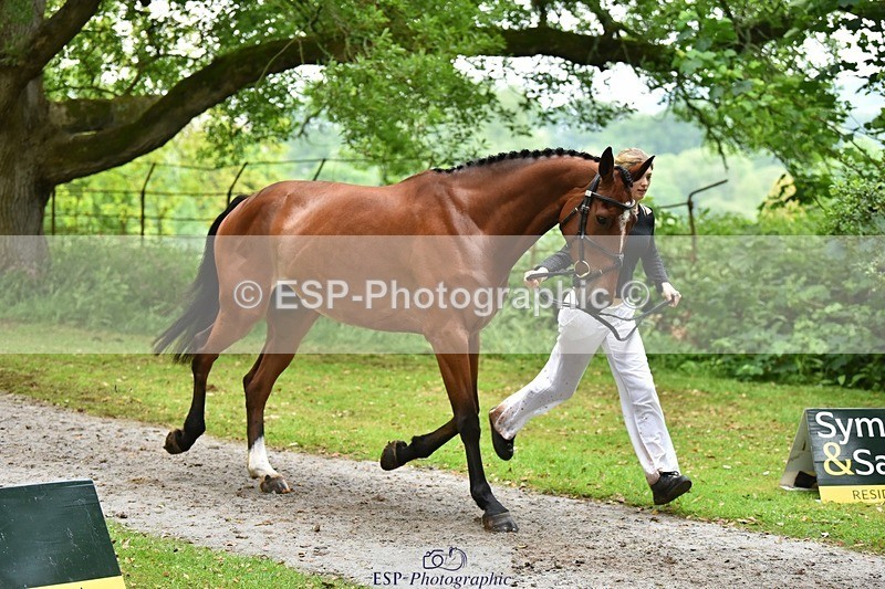 240522-173034-01663 - 292-MY_DREAM_H.J.-Pippa_Royle