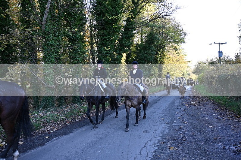 WJ6_9732 - Walk Home