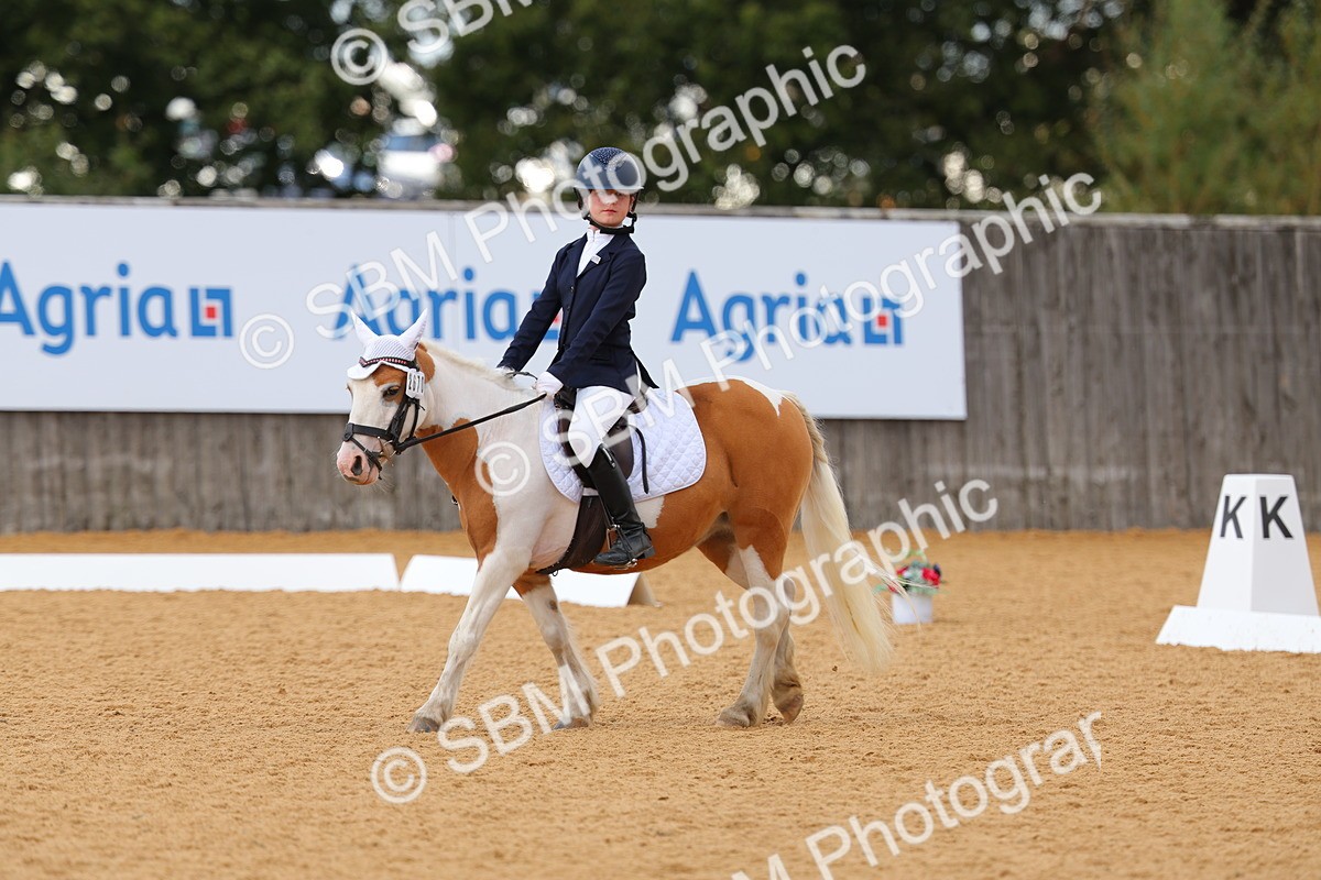 SBM_44119 - D22 - Junior Championship - Intro B