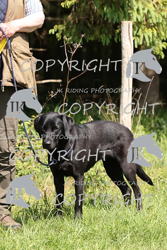2R6A8922 - Prize Giving/General shots