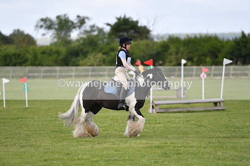 WJ5_2727 - Class 2 40cm