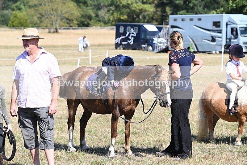 WJ6_9349 - Class 40 Cheekiest Pony/Horse