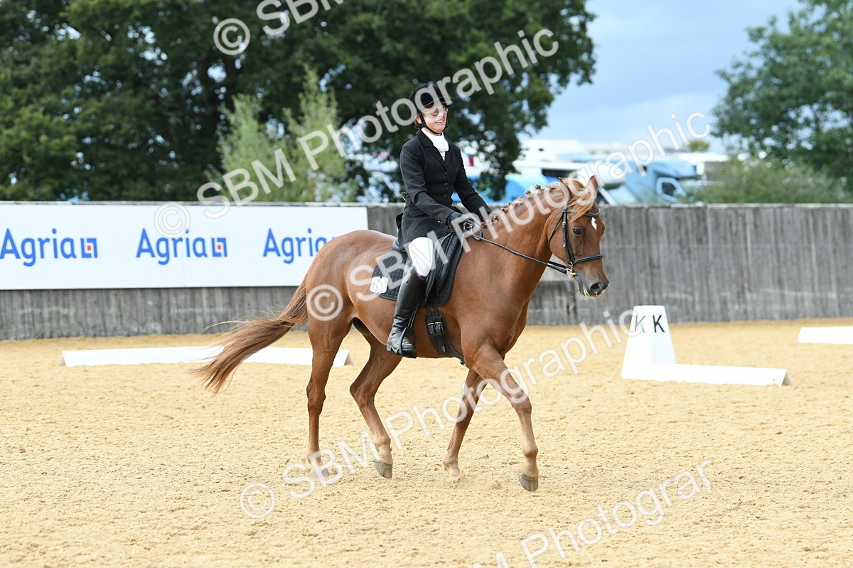 SBM_10983 - D28 Elementary Taster Elementary 42