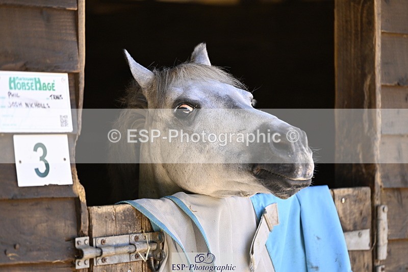 240728B-115343-00350 - Sunday Stable Shots and Fancy Dress