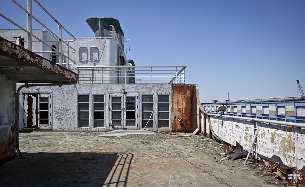 Goose on Railing | SS United States (Philadelphia, PA) - SS United States