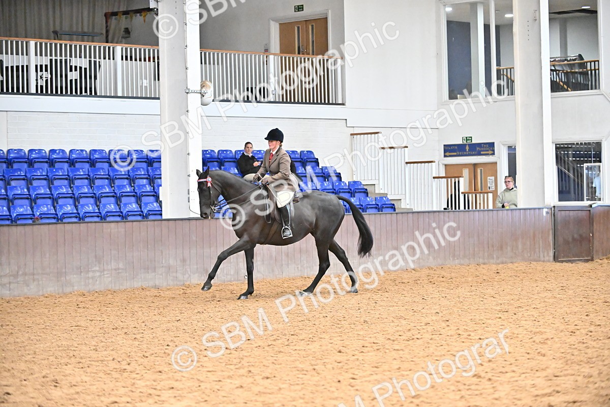 SBM_001931 - Class 25 - Tattersalls ROR Amateur Ridden