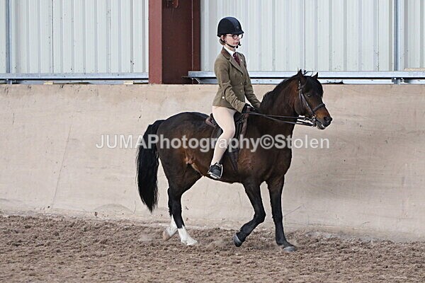 SIAL6158 - Neighfield Pony Show April 2025