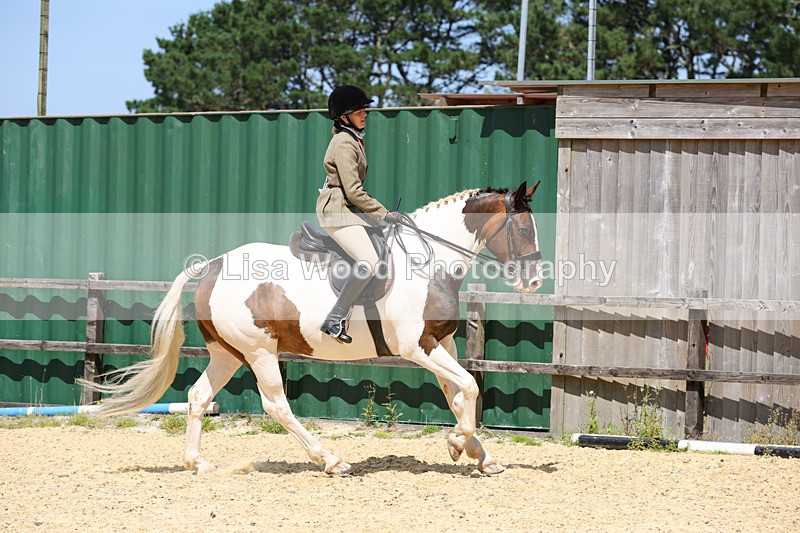1X9A8809 - Class 19: Riding Club Horse