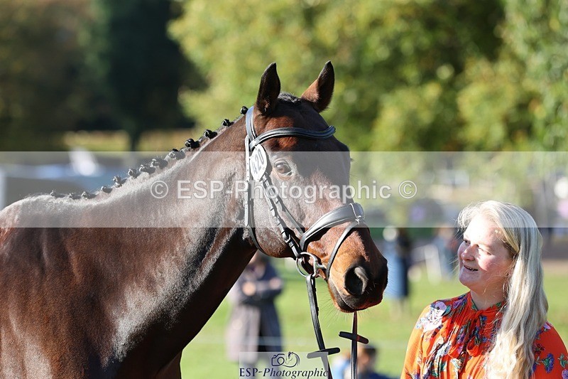 241027-092758-15316 - 420-Pip.Howarth-OTTAVA