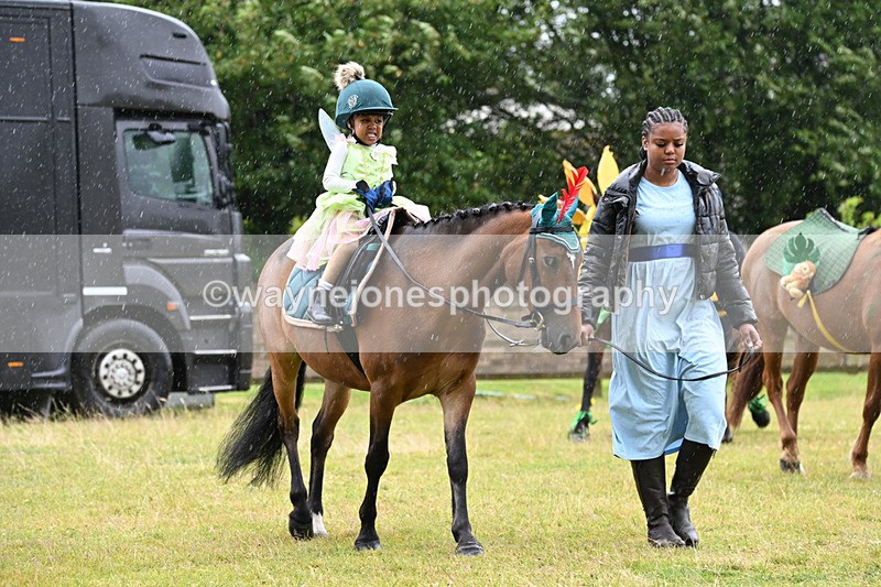 WJ6_9137 - Class 11 Fancy Dress