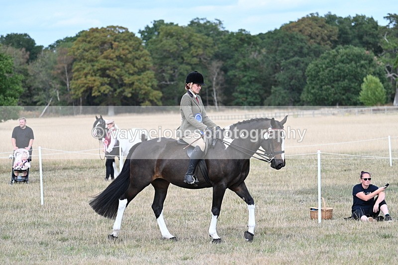 WJ7_7546 - Ridden Championship