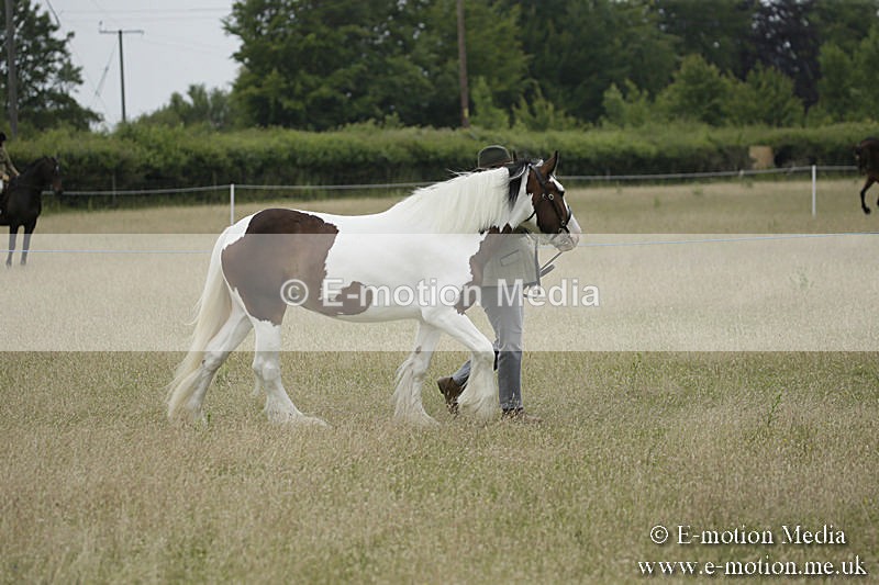 B230619-0726 - Bourne Valley Riding Club Summer Show 23/06/19