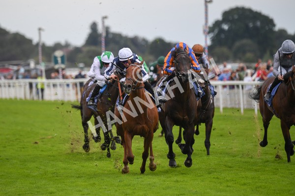 250823-Race 3-Lake Forest-0476 - Race 3 3.00pm Al Basti Equiworld Dubai Gimcrack Stakes