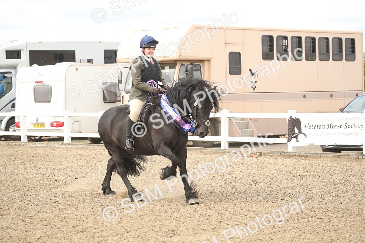 SBM_17795 - Class 508a - Working Veteran 70cm (15-19)