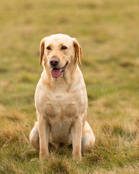Anne -3 - Troon Easter Monday Drive 2026