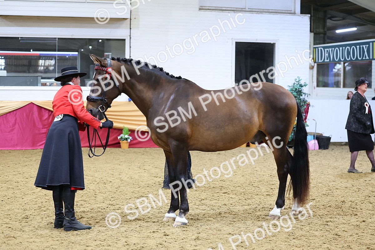 SBM_20879 - Class 902 - Supreme Final IH Veteran
