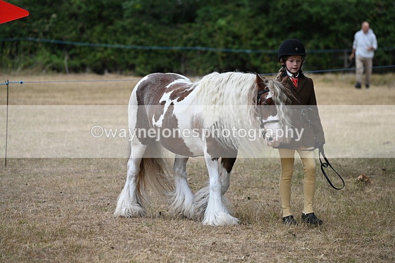WJ6_7898 - Class 10 Coloured in Hand