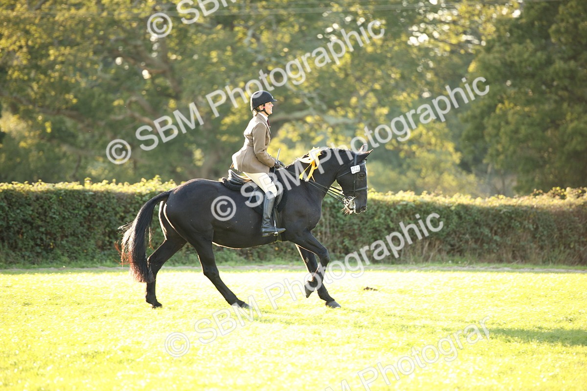 SBM_54493 - S27 - Mature Veteran - Ridden