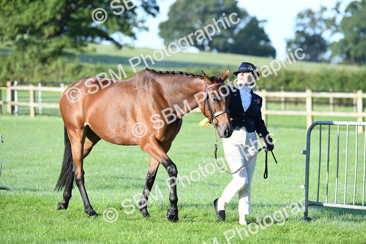 SBM_32879 - S15 - Condition & Turnout In Hand