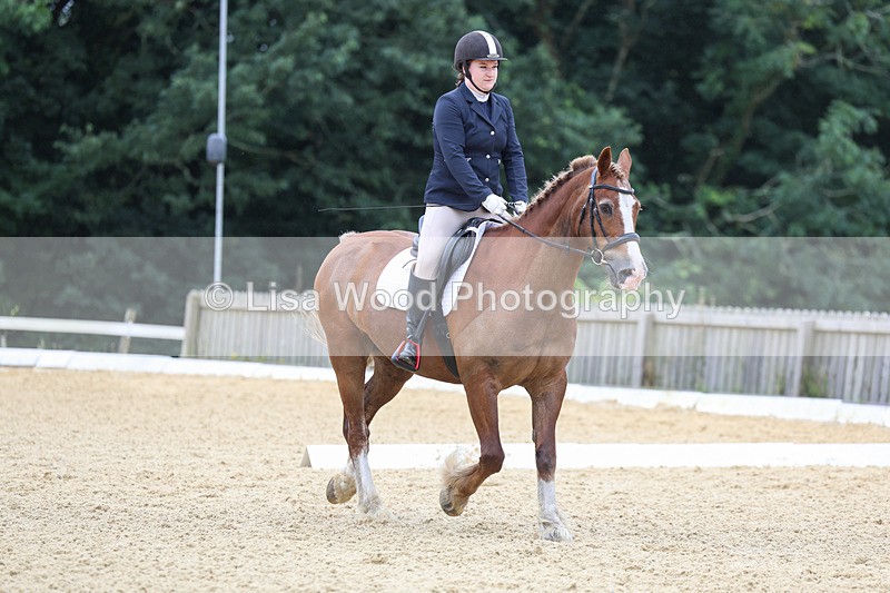 3E7A4733 - Class 1: Intro 4 2024 section A