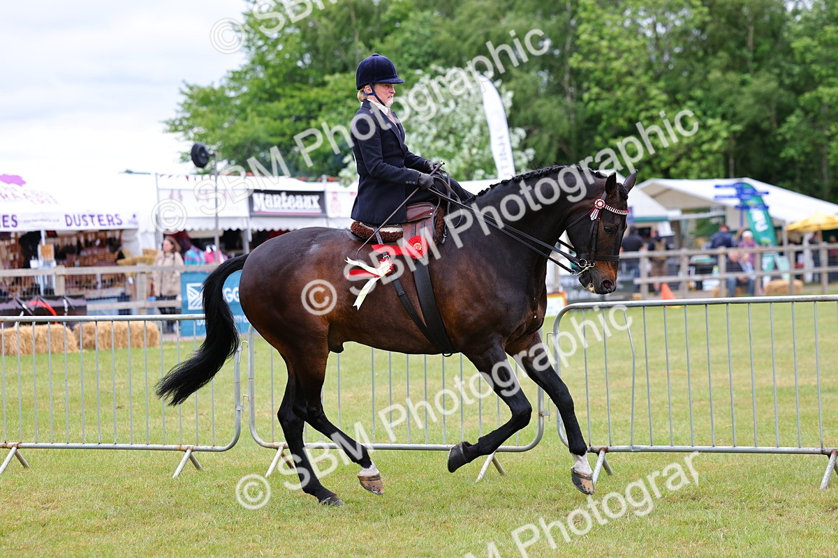 SBM_02881 - Class 9-11 Side Saddle including LIHS Rising Star Ladies Show Horse