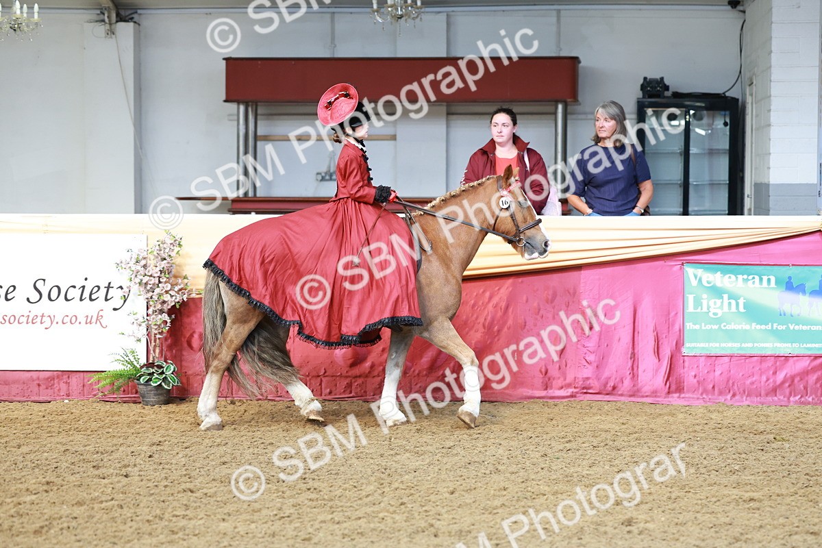 SBM_13419 - Class 104 - Ridden Costume - Astride Junior