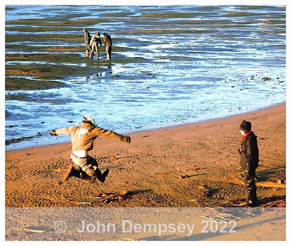 RSPB 3B - Montrose Basin